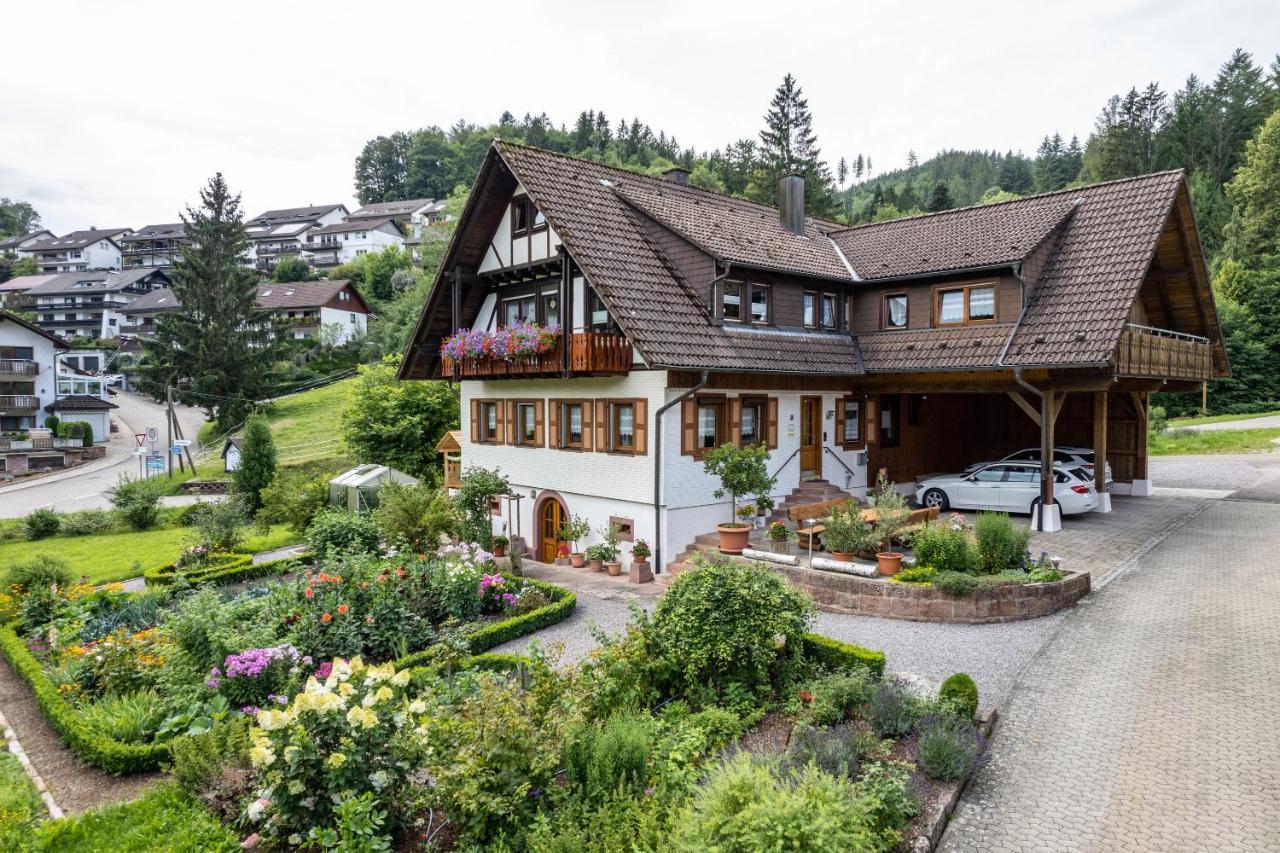 Appartement Am Doettelbach à Bad Peterstal-Griesbach Extérieur photo