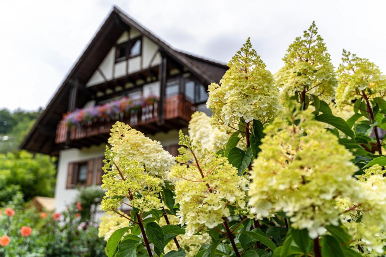 Appartement Am Doettelbach à Bad Peterstal-Griesbach Extérieur photo
