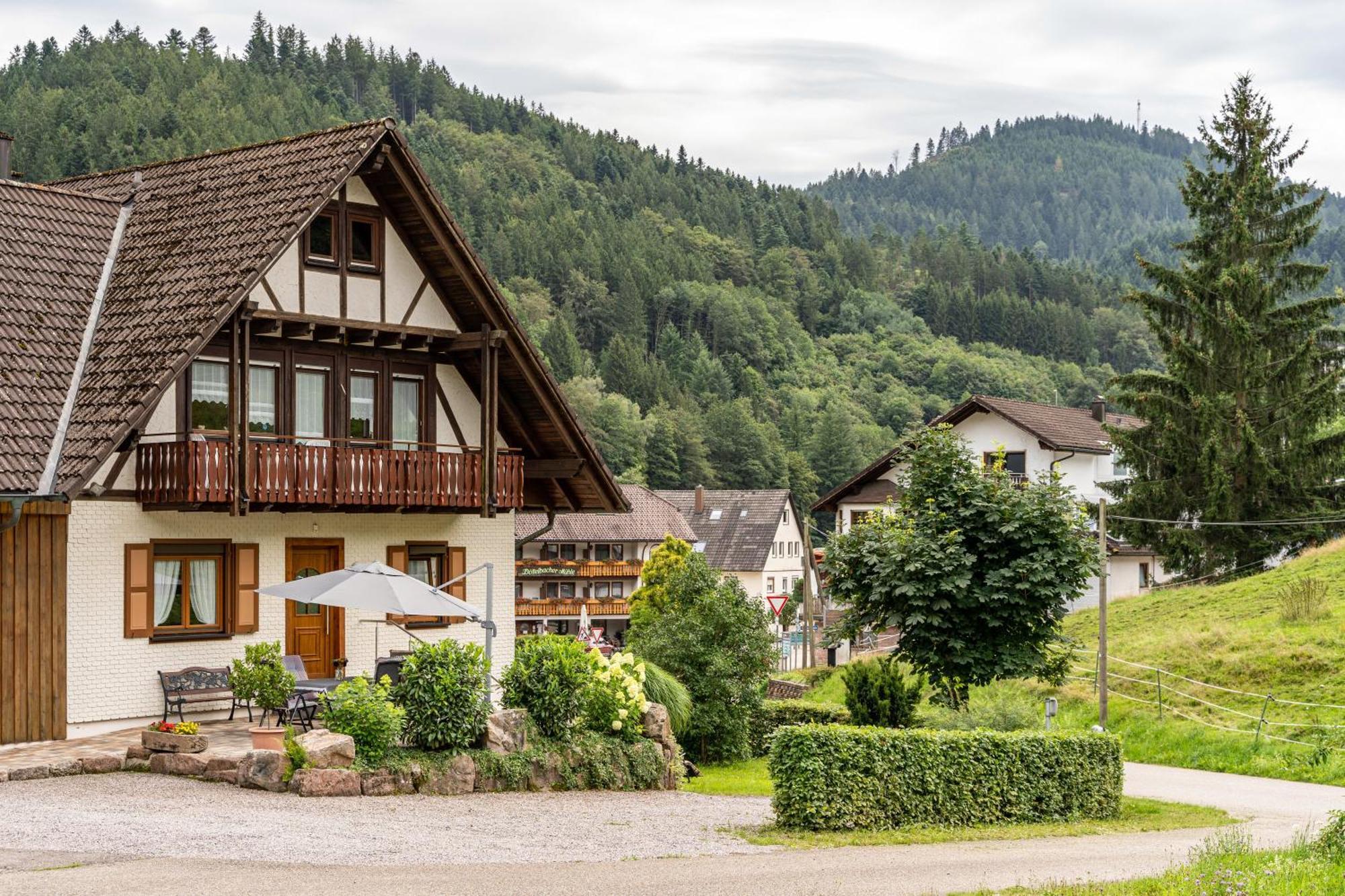 Appartement Am Doettelbach à Bad Peterstal-Griesbach Extérieur photo