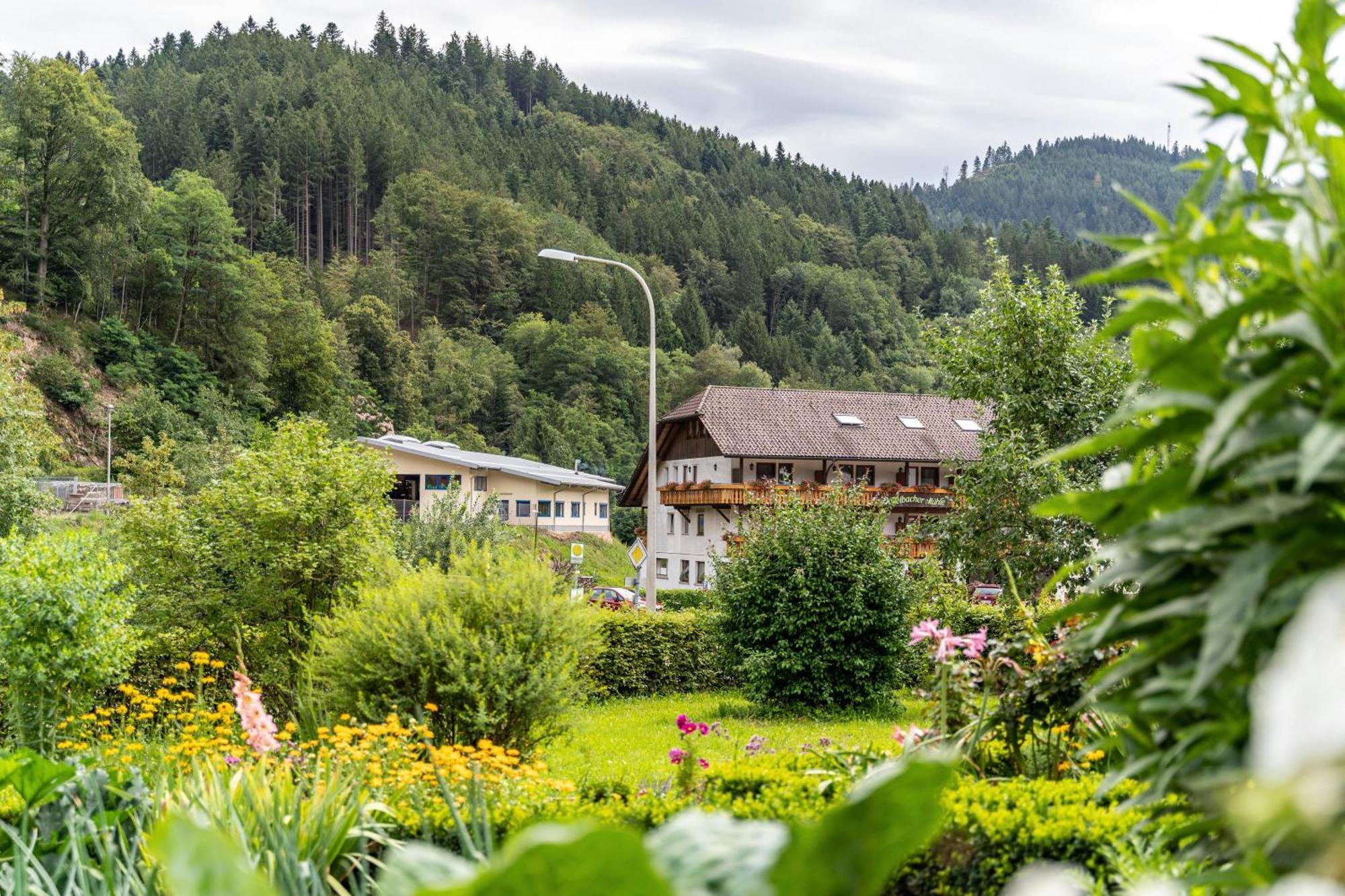 Appartement Am Doettelbach à Bad Peterstal-Griesbach Extérieur photo